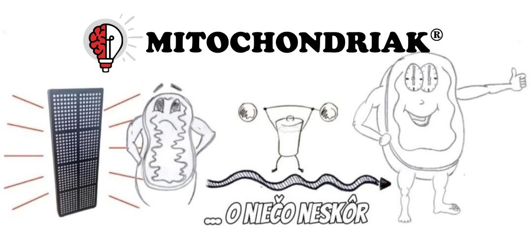 EasyLight-Cervene-a-infracervene-panely-Ako-to-funguje-1024x436